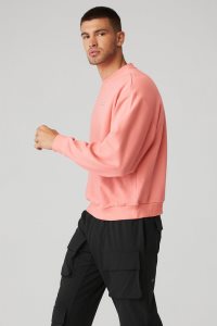Bluzy Z Kapturem Alo Yoga Accolade Crew Neck Męskie Różowe | 53690-FPML