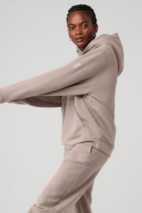 Bluzy Z Kapturem Alo Yoga Renown Heavy Weight Damskie Szare Brązowe | 54276-LZAP