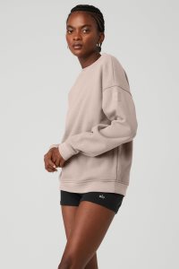 Long Sleeve Alo Yoga Renown Heavy Weight Crew Neck Damskie Szare Brązowe | 54861-EVQS