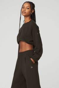 Pulowery Alo Yoga Cropped Tailored Crew Neck Damskie Kawa | 23086-NXOA