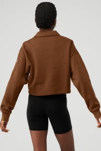 Pulowery Alo Yoga Polo Henley Damskie Brązowe | 45860-OFCL