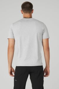 Short Sleeve Alo Yoga Conquer Reform Crewneck Męskie Szare | 70634-NDVX