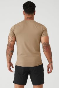 Short Sleeve Alo Yoga Conquer Reform Crewneck Męskie Khaki | 72350-PITB