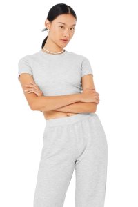 Short Sleeve Alo Yoga Micro Waffle Sierra Damskie Szare | 06829-OZDW
