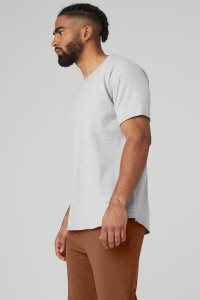 Short Sleeve Alo Yoga Society Crewneck Tee Męskie Szare | 71596-AZOI