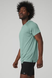 Short Sleeve Alo Yoga The Triumph Crew Neck Tee Męskie Niebieskie | 12759-FSNX
