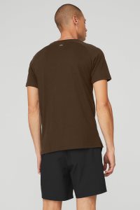 Short Sleeve Alo Yoga The Triumph Crew Neck Tee Męskie Kawa | 45087-TSWA