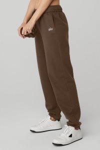 Spodnie Sportowe Alo Yoga Accolade Sweatpant Damskie Kawa | 67809-KUTM
