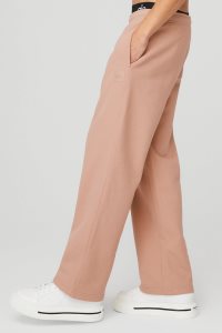 Spodnie Sportowe Alo Yoga Renown Heavy Weight Sweatpant Męskie Różowe | 98247-WYDV