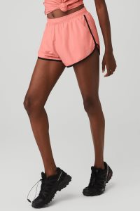 Szorty Alo Yoga Ivy League Dolphin Damskie Czarne | 36148-JSKO